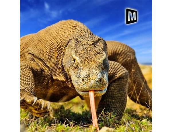 Wild Komodo Dragon War for Android - Download the APK from Habererciyes
